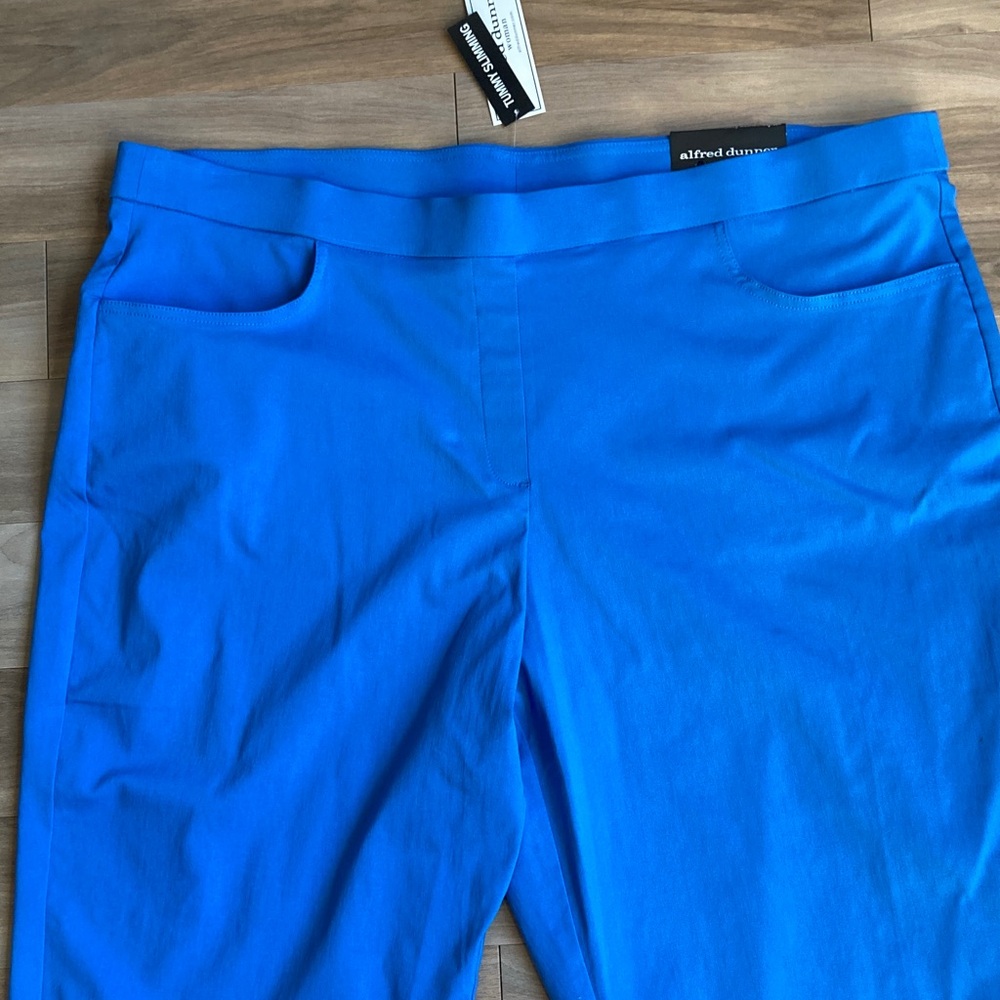 Alfred Dunner allure Capri pant tummy slimming super stretch azure blue 24W - Picture 6 of 17